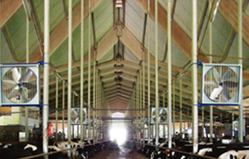 常用的禽舍負(fù)壓通風(fēng)方式